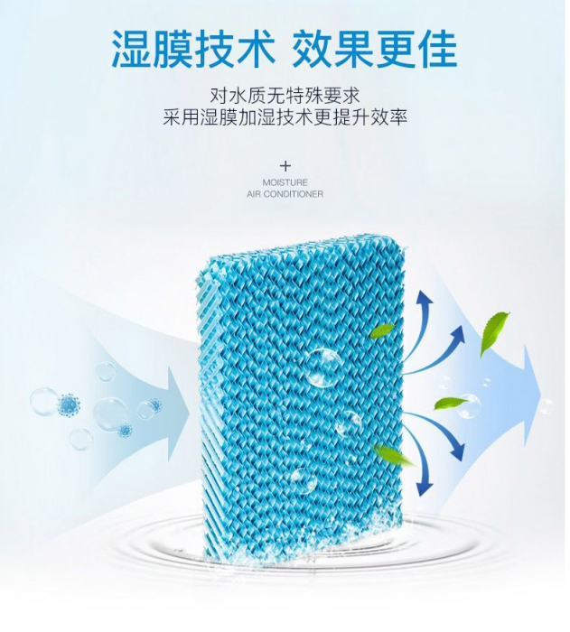 春天潮濕，教你家居防霉妙法