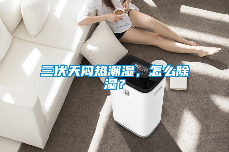 三伏天悶熱潮濕，怎么除濕？
