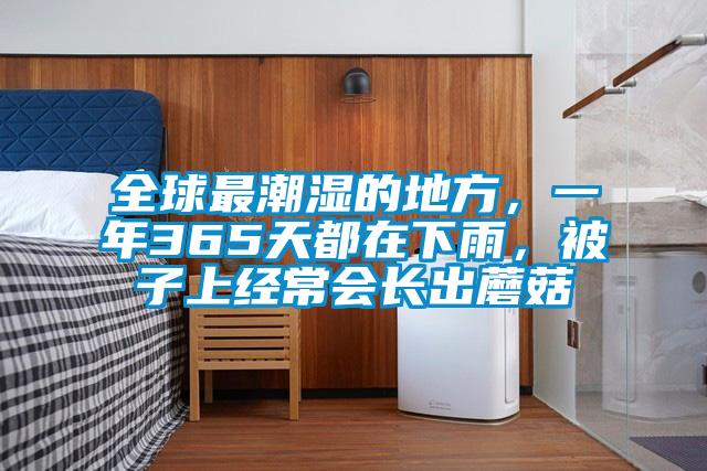全球最潮濕的地方，一年365天都在下雨，被子上經(jīng)常會長出蘑菇