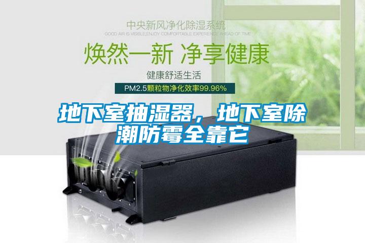地下室抽濕器，地下室除潮防霉全靠它