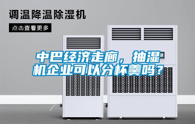 中巴經(jīng)濟走廊，抽濕機企業(yè)可以分杯羹嗎？