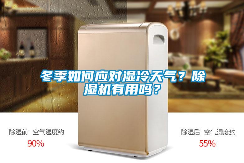 冬季如何應對濕冷天氣？除濕機有用嗎？