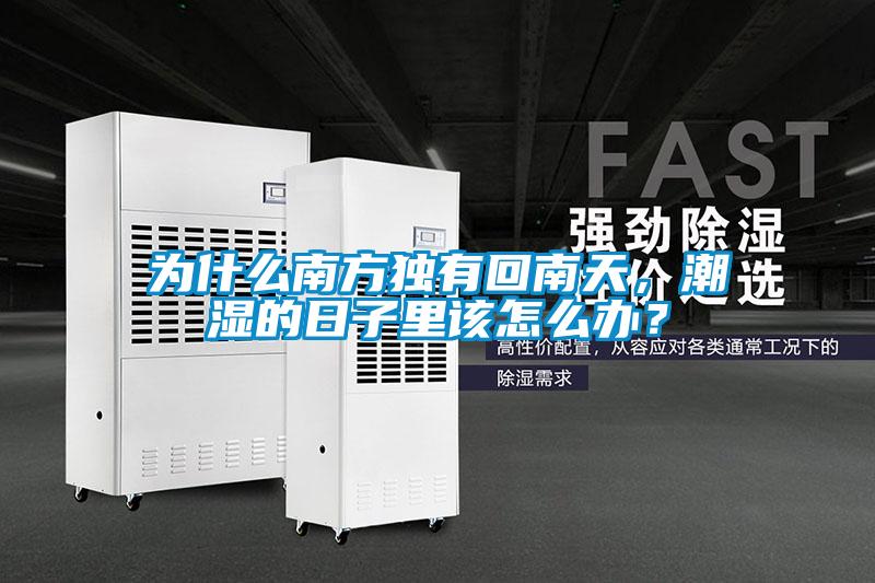 為什么南方獨有回南天，潮濕的日子里該怎么辦？