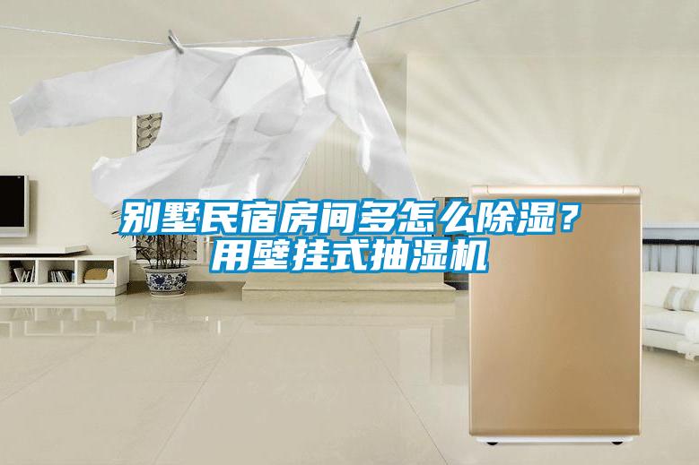 別墅民宿房間多怎么除濕？用壁掛式抽濕機(jī)