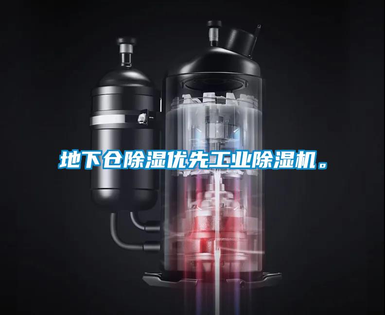 地下倉除濕優(yōu)先工業(yè)除濕機(jī)。