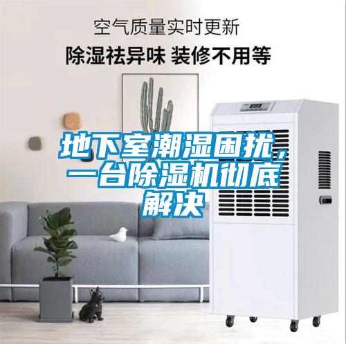 地下室潮濕困擾，一臺除濕機徹底解決