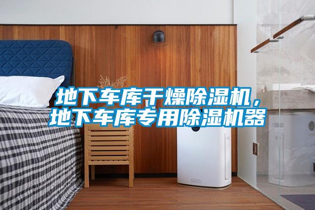 地下車庫干燥除濕機(jī)，地下車庫專用除濕機(jī)器