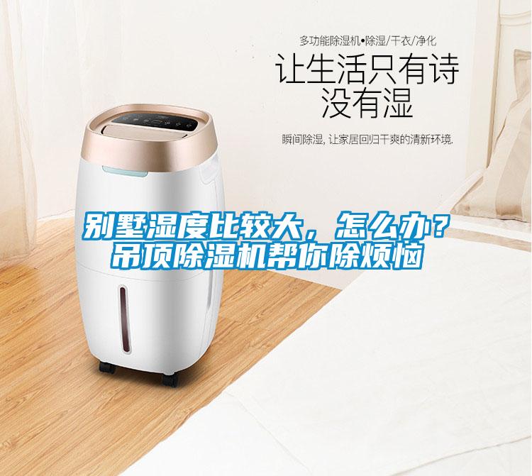 別墅濕度比較大，怎么辦？吊頂除濕機(jī)幫你除煩惱