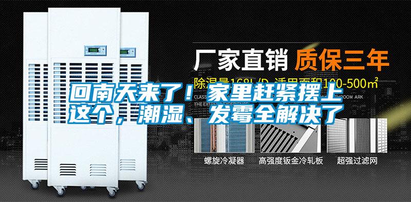 回南天來了！家里趕緊擺上這個(gè)，潮濕、發(fā)霉全解決了