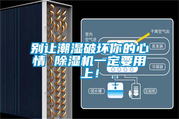 別讓潮濕破壞你的心情 除濕機(jī)一定要用上！
