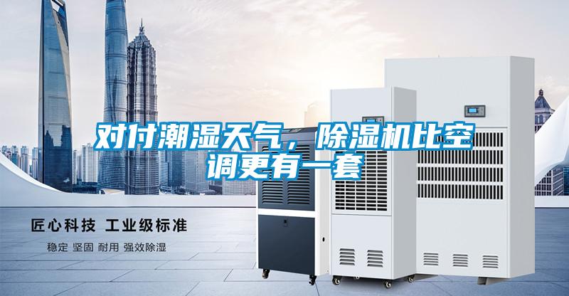 對付潮濕天氣，除濕機比空調(diào)更有一套