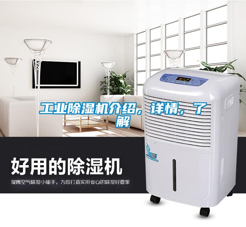 工業(yè)除濕機介紹，詳情，了解