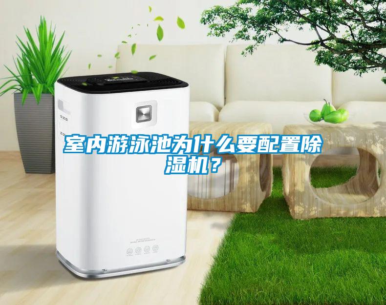 室內游泳池為什么要配置除濕機？