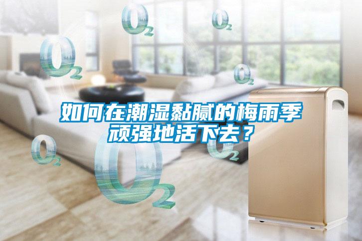 如何在潮濕黏膩的梅雨季頑強地活下去？