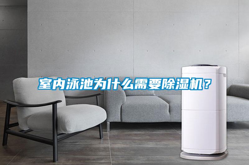 室內(nèi)泳池為什么需要除濕機？