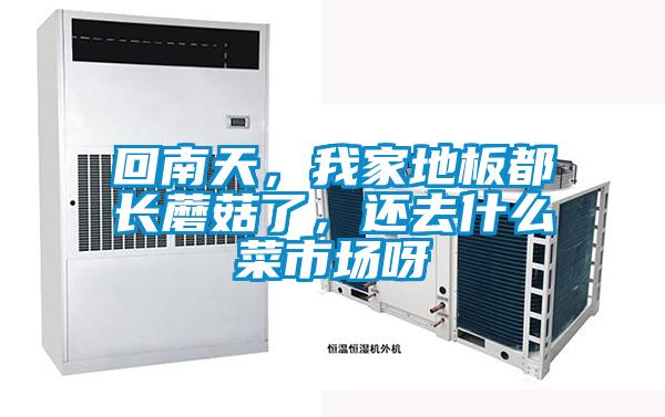 回南天，我家地板都長蘑菇了，還去什么菜市場呀