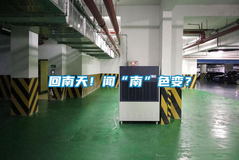回南天！聞“南”色變？