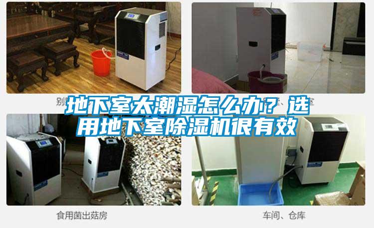 地下室太潮濕怎么辦？選用地下室除濕機(jī)很有效