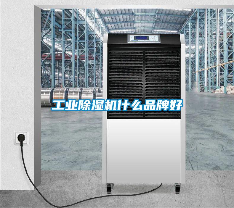 工業(yè)除濕機什么品牌好