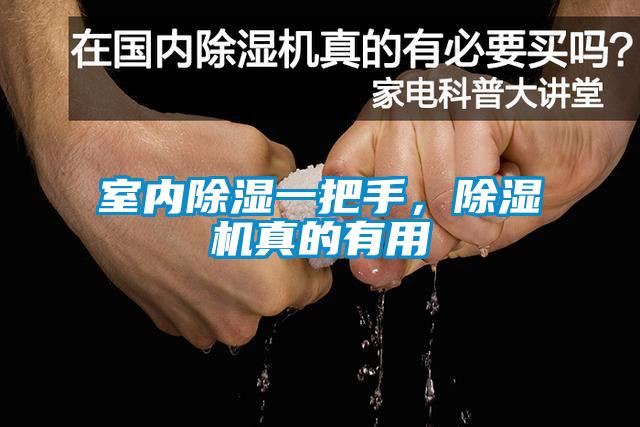 室內(nèi)除濕一把手，除濕機(jī)真的有用