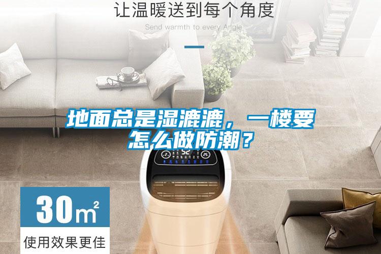 地面總是濕漉漉，一樓要怎么做防潮？