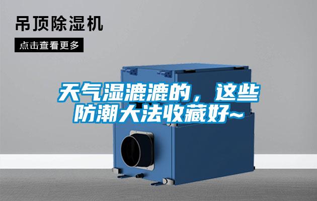 天氣濕漉漉的，這些防潮大法收藏好~