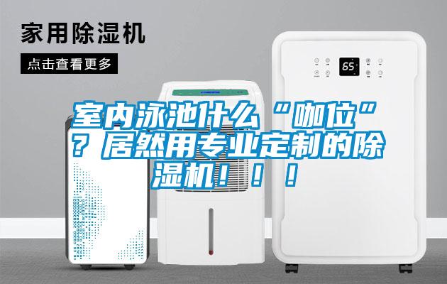 室內(nèi)泳池什么“咖位”？居然用專業(yè)定制的除濕機(jī)?。?！