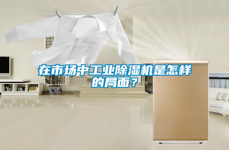 在市場中工業(yè)除濕機是怎樣的局面？