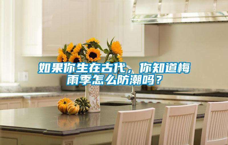 如果你生在古代，你知道梅雨季怎么防潮嗎？