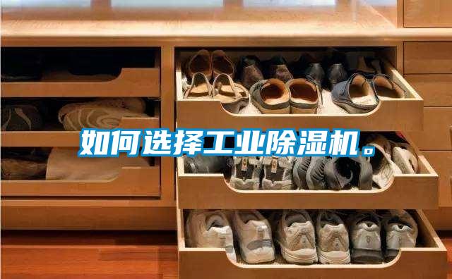 如何選擇工業(yè)除濕機。