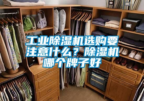 工業(yè)除濕機選購要注意什么？除濕機哪個牌子好