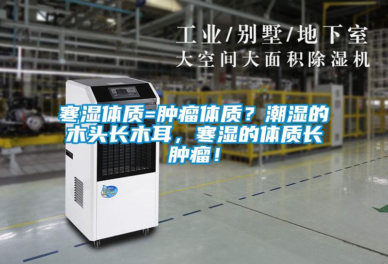 寒濕體質(zhì)=腫瘤體質(zhì)？潮濕的木頭長木耳，寒濕的體質(zhì)長腫瘤！