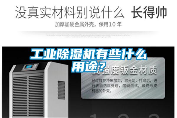 工業(yè)除濕機(jī)有些什么用途？