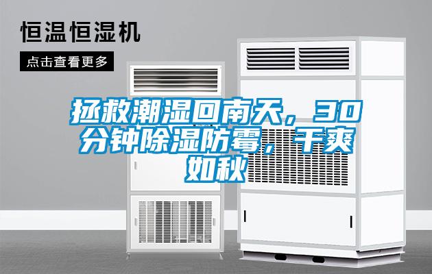 拯救潮濕回南天，30分鐘除濕防霉，干爽如秋