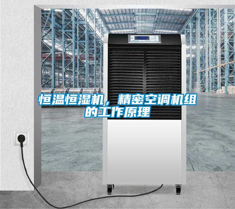 恒溫恒濕機(jī)，精密空調(diào)機(jī)組的工作原理