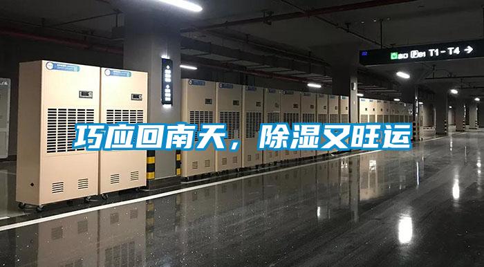 巧應(yīng)回南天，除濕又旺運(yùn)