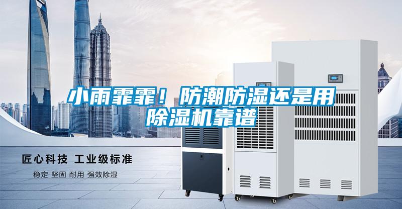 小雨霏霏！防潮防濕還是用除濕機靠譜