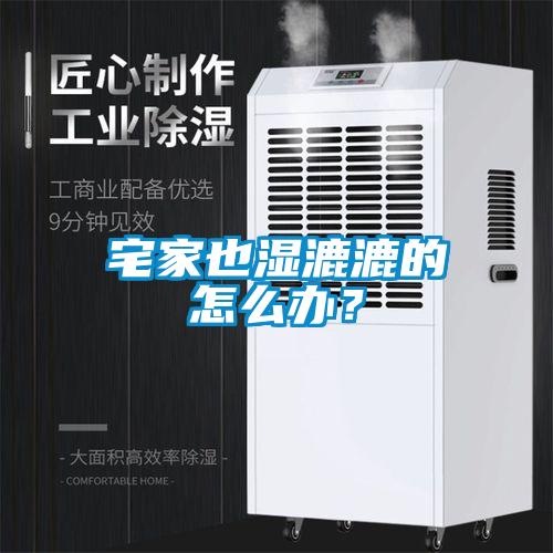 宅家也濕漉漉的怎么辦？