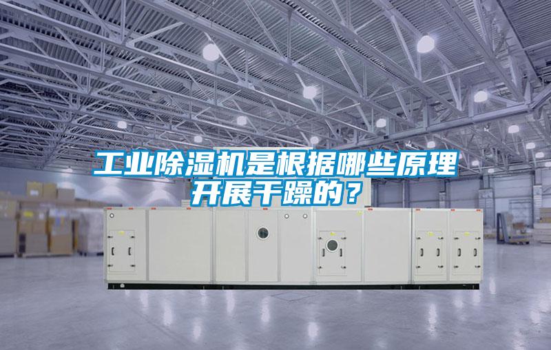 工業(yè)除濕機(jī)是根據(jù)哪些原理開(kāi)展干躁的？