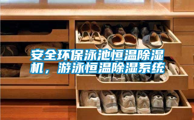 安全環(huán)保泳池恒溫除濕機(jī)，游泳恒溫除濕系統(tǒng)
