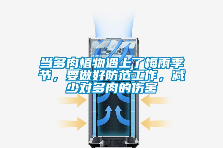 當(dāng)多肉植物遇上了梅雨季節(jié)，要做好防范工作，減少對多肉的傷害