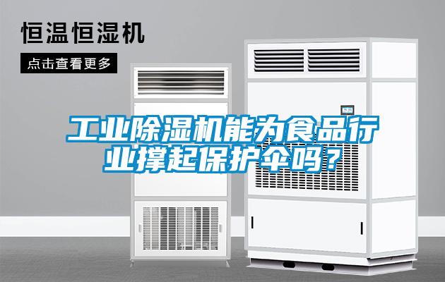 工業(yè)除濕機(jī)能為食品行業(yè)撐起保護(hù)傘嗎？