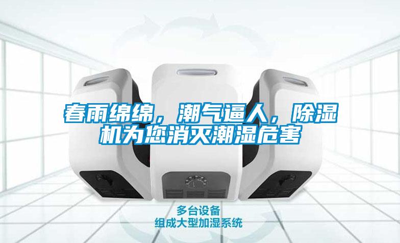 春雨綿綿，潮氣逼人，除濕機為您消滅潮濕危害