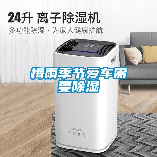 濕氣太重，大不如前！安詩曼除濕機還你健康好身體！