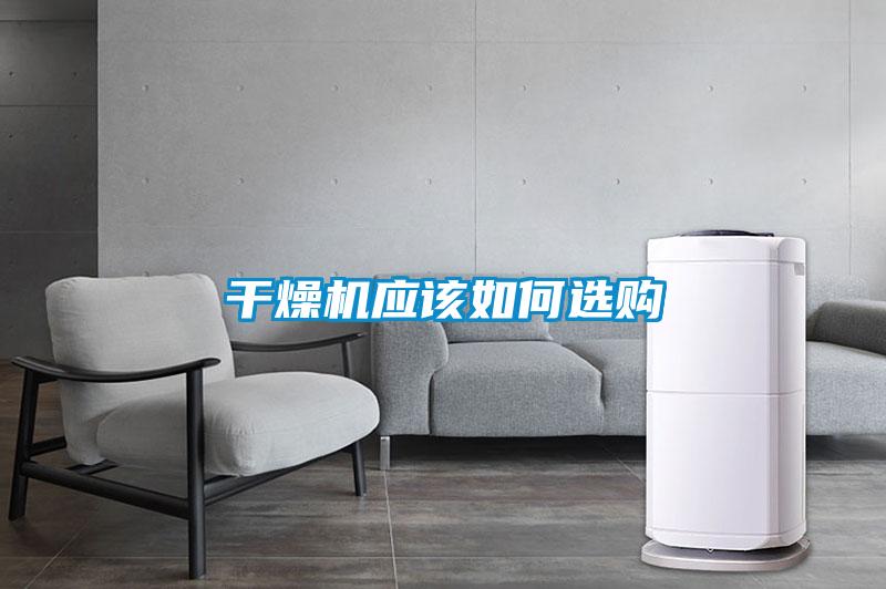 年年除濕年年濕，如何快速除濕？