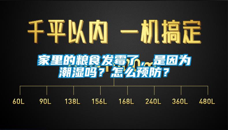 家里的糧食發(fā)霉了，是因為潮濕嗎？怎么預(yù)防？