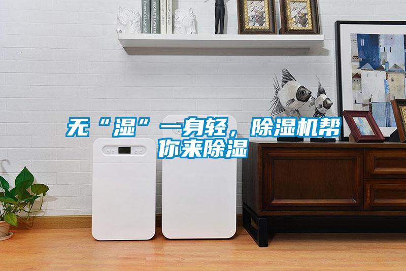無“濕”一身輕，除濕機幫你來除濕