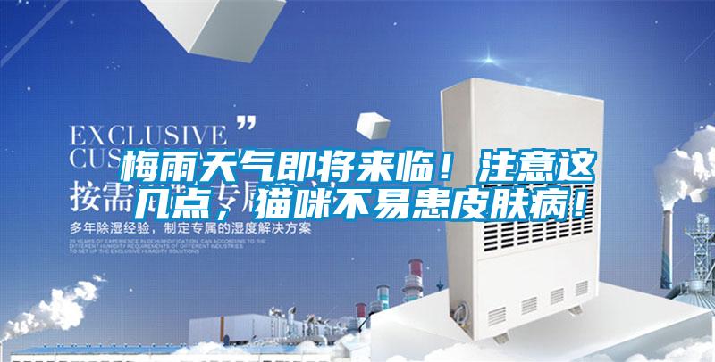 梅雨天氣即將來(lái)臨！注意這幾點(diǎn)，貓咪不易患皮膚??！