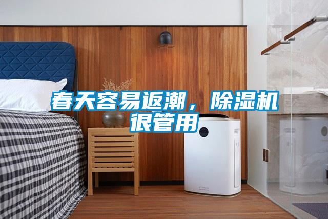 春天容易返潮，除濕機(jī)很管用