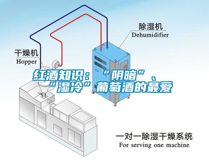 紅酒知識(shí)：“陰暗”、“濕冷”葡萄酒的最愛